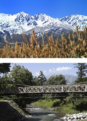 白馬三山
姫川と大出吊橋 白馬三山
姫川と大出吊橋