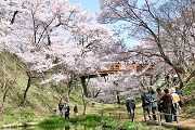 高遠城址公園