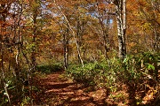 カヤの平高原