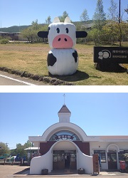 牛のオブジェ

野辺山駅駅