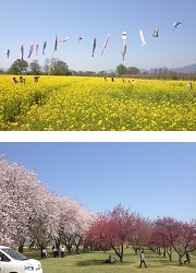 千曲川ふれあい公園