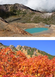 二ノ池と摩利支天山

ナナカマド